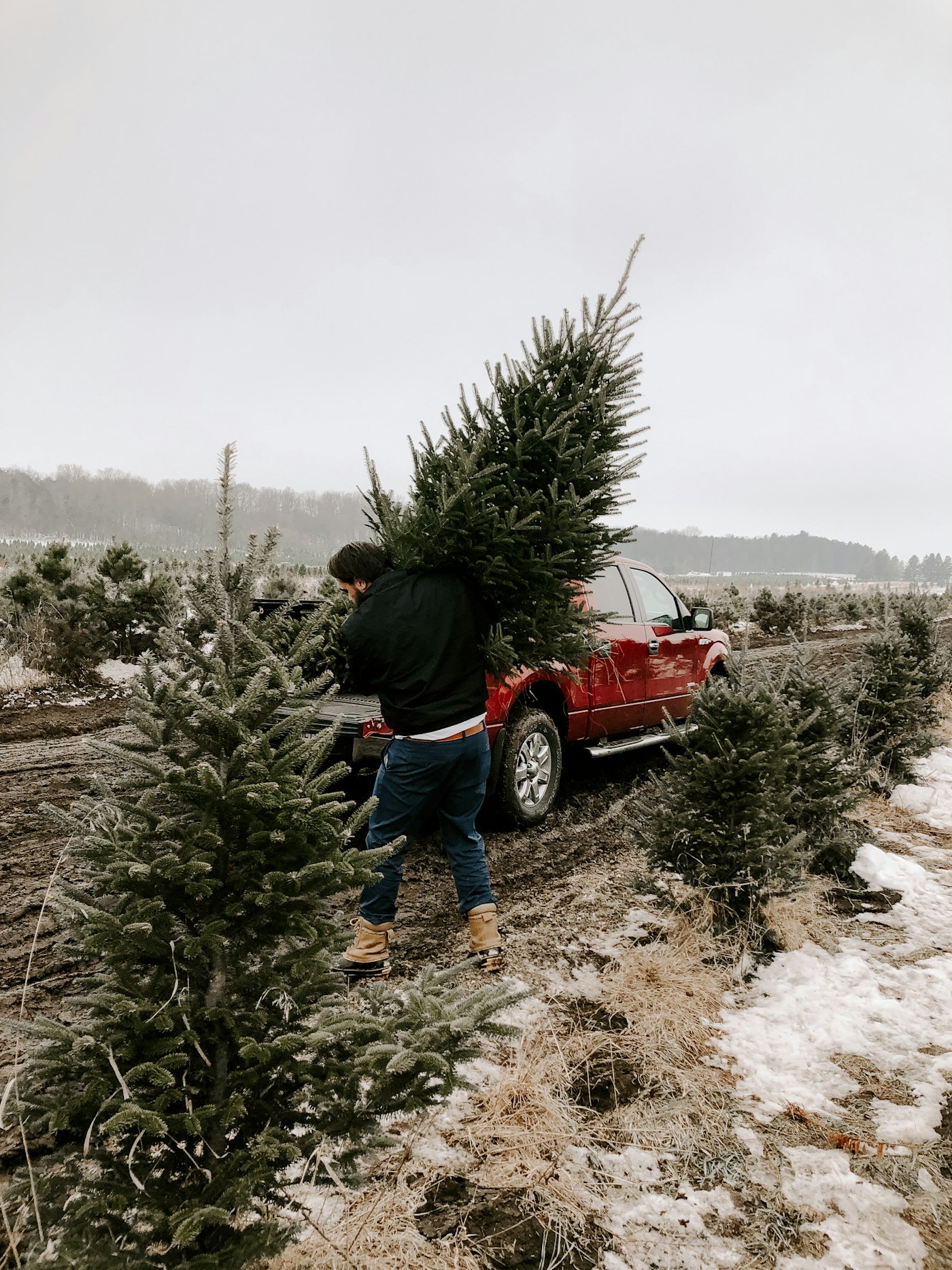 Farm experience & traditions
