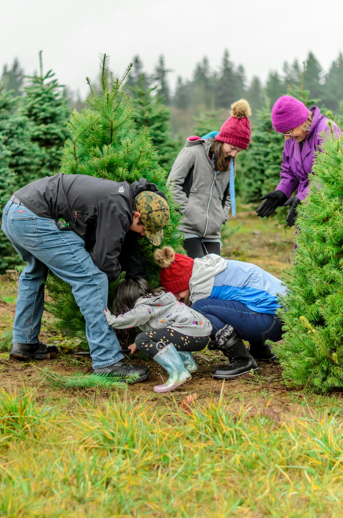 Wreaths, gifts & seasonal details